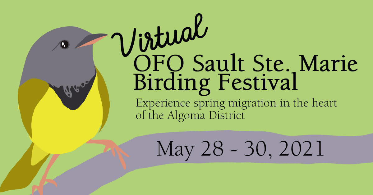SSM Virtual Festival May 28th to May 30th